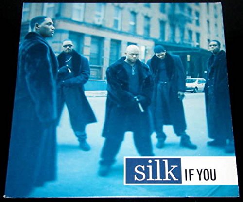 If You/ [Vinyl Maxi-Single] von Elektra (Warner)