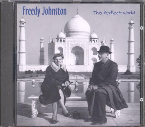 This Perfect World von Elektra