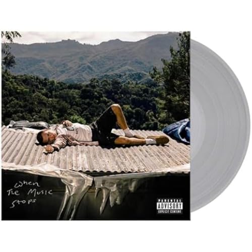 When the Music Stops [Vinyl LP] von Elektra