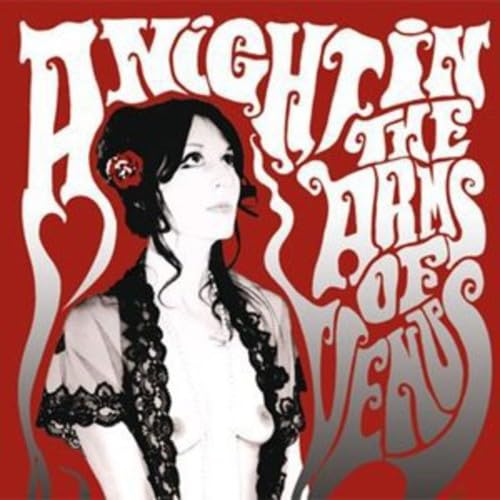 A Night in the Arms of Venus [Vinyl LP] von Elektrohasch (Fenn Music)