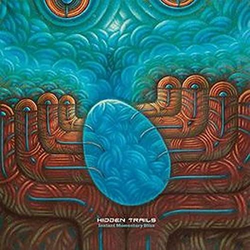 Instant Momentary Bliss [Vinyl LP] von Elektrohasch (Fenn Music)