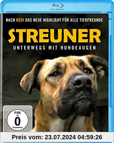 Streuner - Unterwegs mit Hundeaugen [Blu-ray] von Elizabeth Lo