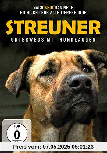 Streuner - Unterwegs mit Hundeaugen Streuner - Unterwegs mit Hundeaugen von Elizabeth Lo