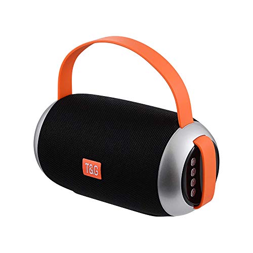 ElLENNE Lautsprecher Bluetooth wiederaufladbar 10 W WLAN-Lautsprecher Wasserdicht Radio TG112 (schwarz) von Ellenne