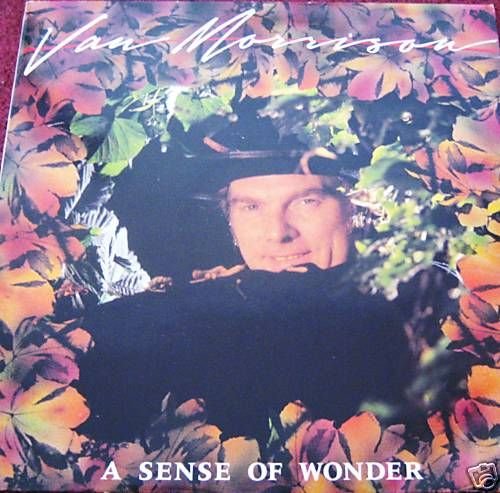 VAN MORRISON Vinyl LP A Sense Of Wonder,JUST VAN MORRISON Vinyl LP A Sense Of Wonder,JUST von Elpees Entertainments