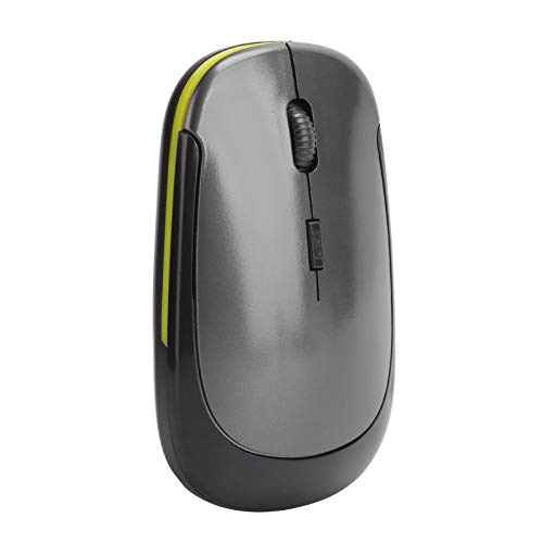 Elprico 2,4 G Kabellose Maus, Verstellbare Optische 1600 DPI-Maus mit USB-Empfänger, Leise Micro Motion USB-Maus für Laptop-PC (Silber-Grau) von Elprico