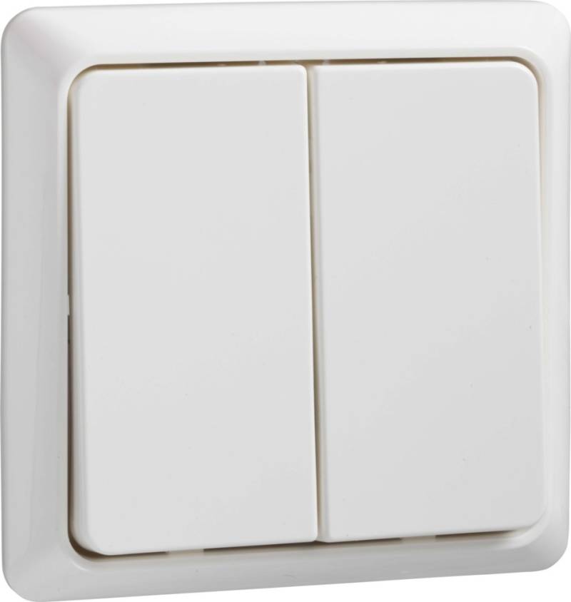 Elso Doppeltaster rw 506254 von Elso