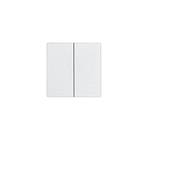 Eltako Doppelwippe im E-Design55 DW-W2T55E-pm 30055936 Eltako Doppelwippe im E-Design55 DW-W2T55E-pm 30055936 von Eltako