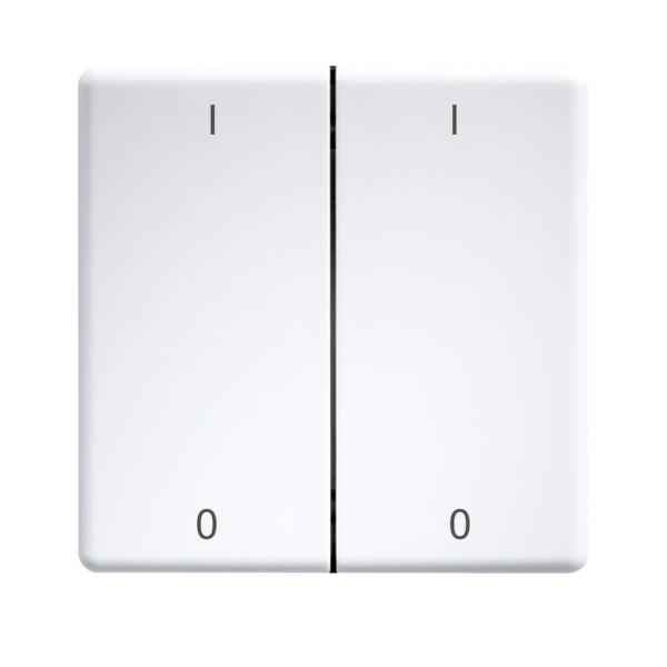 Eltako Doppelwippe lasergraviert DW-FT55-wg+IO 30000987 von Eltako