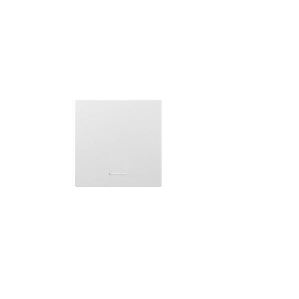 Eltako Wippe lasergraviert W-F1T55E-rws/glänz 30055949 Eltako Wippe lasergraviert W-F1T55E-rws/glänz 30055949 von Eltako