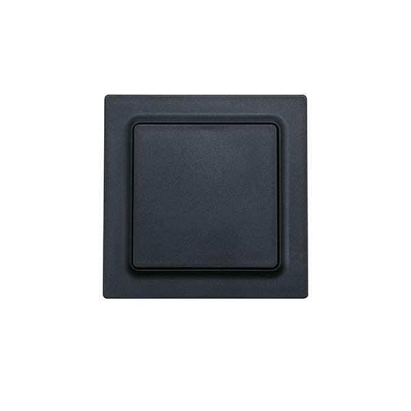 Eltako Wipptaster WT55E-am 30055742 Eltako Wipptaster WT55E-am 30055742 von Eltako