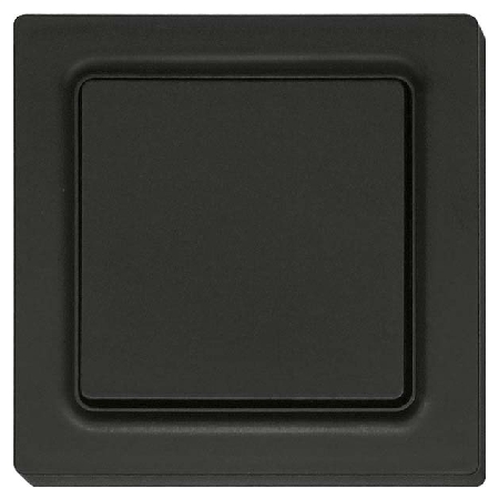 F2T55E-am - Funktaster ant/matt 55x55mm F2T55E-am F2T55E-am - Funktaster ant/matt 55x55mm F2T55E-am von Eltako