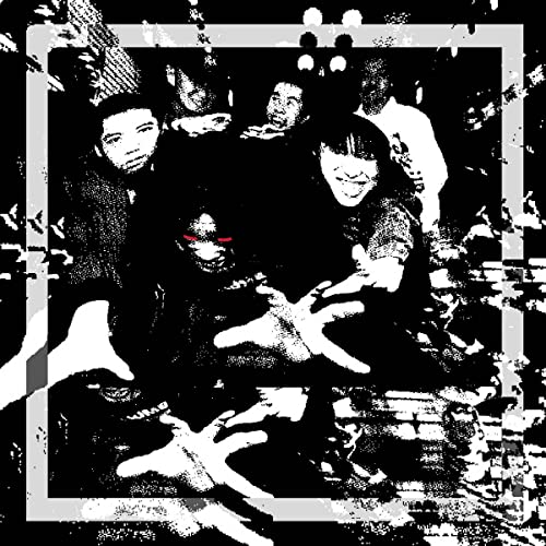 Cycheouts' Counterattack: Best Cuts 1995-2000 [Vinyl LP] von Em Records