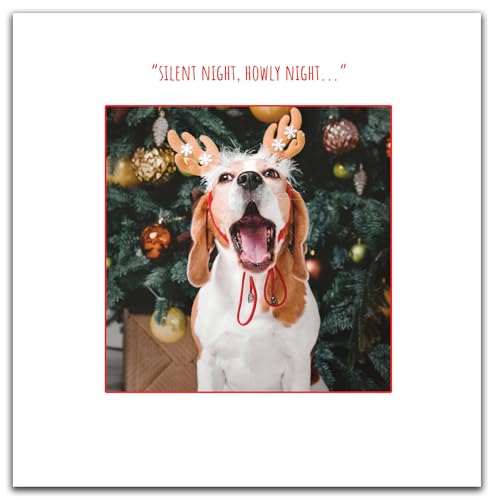 Emotional Rescue Weihnachtskarte Howly von Emotional Rescue