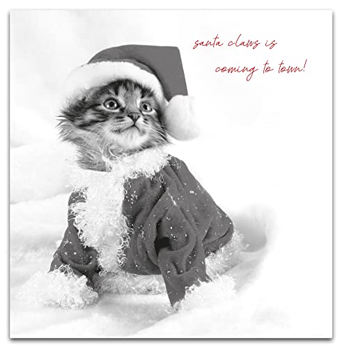 Emotional Rescue Weihnachtskarte in Schwarz & Weiß, Weihnachtsmann-Krallen, offen, 163 x 163 mm von Emotional Rescue