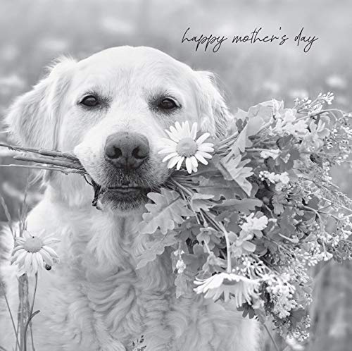 Muttertagskarte "Happy In Black & White" offen, 163 x 163 mm von Emotional Rescue