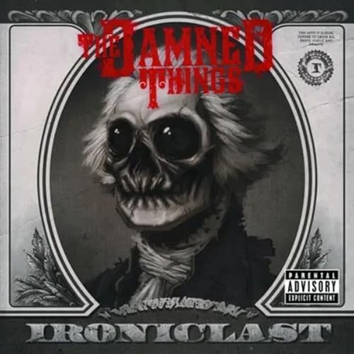 Ironiclast [Vinyl LP] von Enjoy the Ride (H'Art)