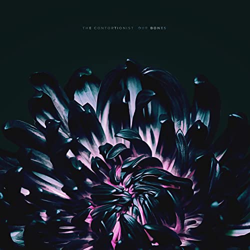 Our Bones [Vinyl LP] von Eone