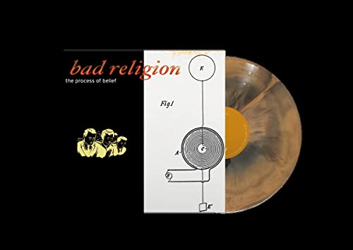 Process of Belief (20th Anniversary Orange/Black G [Vinyl LP] von Epitaph Europe / Indigo