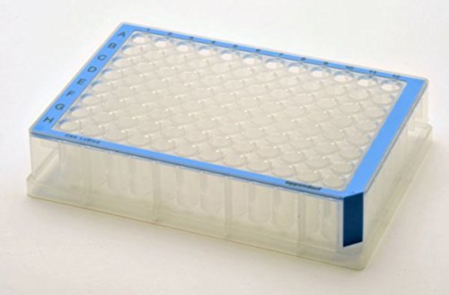 Eppendorf 0030503147 Deepwell Plate, DNA LoBind, PCR Clean, 96/500 µL, Rand Blau (40-er Pack) von Eppendorf