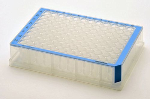 Eppendorf 96 Deepwell-Platte, PCR Clean, Blau, 500 µL Kapazität, 40 Stück von Eppendorf