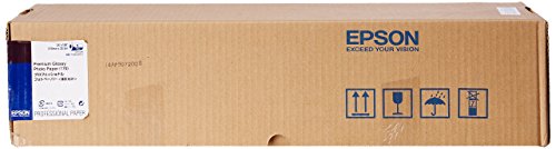 Epson C13S041390 Premium glossy photo paper inkjet 166g/m2 610 mm x 30.5 m 1 Rölle Pack von Epson