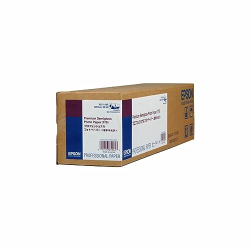 Epson C13S042075 Semigloss photo paper inkjet 160g/m2 419 mm x 30.5m 1 Rölle Pack Epson C13S042075 Semigloss photo paper inkjet 160g/m2 419 mm x 30.5m 1 Rölle Pack von Epson