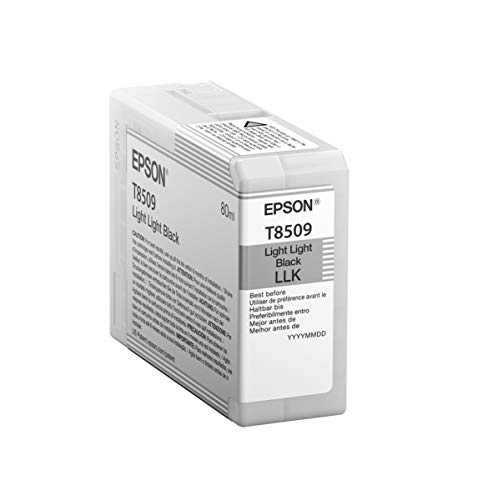 Epson C13T850900 Singlepack Light, schwarz von Epson