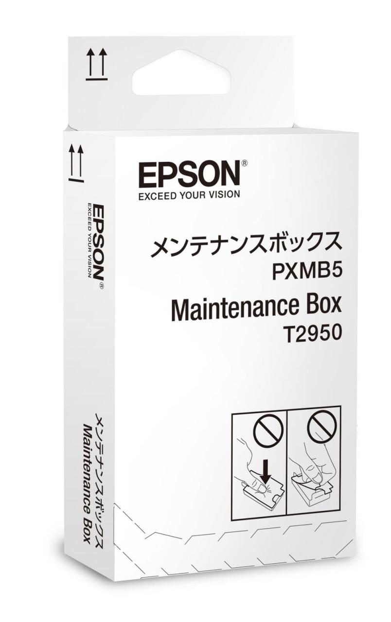 Epson Original Resttintenbehälter für WF-100W (C13T295000) von Epson