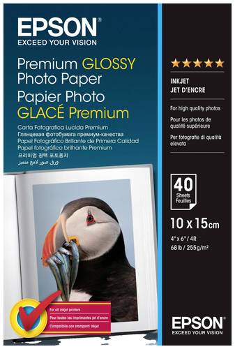 Epson Premium Glossy Photo Paper C13S042153 Fotopapier 10 x 15cm 255 g/m² 40 Blatt Hochglänzend von Epson