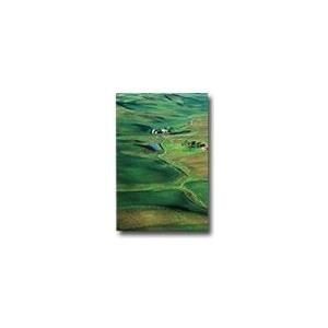 Epson Premium - Seidenmattfotopapier - A3 (297 x 420 mm) - 251 g/m2 - 20 Blatt (C13S041334) von Epson