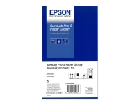 Epson SureLab Pro-S Papier glänzend - glänzend - 252 my - Rolle (15,2 cm x 65 m) - 252 g/m² - 2 Rolle(n) Papier - für SURELAB D3000, D700, SL-D1000  SURELAB SL D700, D800, D800 240V von Epson