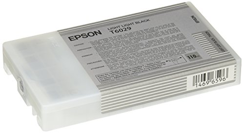 Epson T6029 Tintenpatrone, Singlepack, hell hell schwarz von Epson