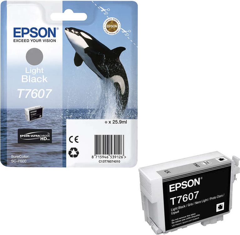 Epson T7607 - Schwarz - Original - Blisterverpackung - Tintenpatrone (C13T76074010) von Epson