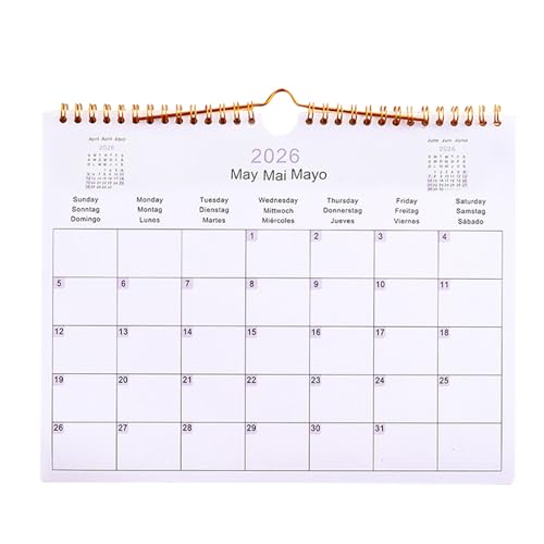 Erconsso 2025 Kalenderwand, Kalender 2025,Kalender 2025 Wand - Mehrsprachige Coil Planer Agenda Organisator Planung für Home Office School Klassenzimmer Küchen Schlafzimmer Erconsso 2025 Kalenderwand, Kalender 2025,Kalender 2025 Wand - Mehrsprachige Coil Planer Agenda Organisator Planung für Home Office School Klassenzimmer Küchen Schlafzimmer von Erconsso