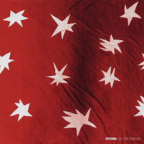 As You Please [Vinyl LP] von Erectogen