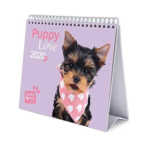 Erik® Studio Pets Dogs Deluxe Tischkalender 2020 (17x20 cm) von Erik