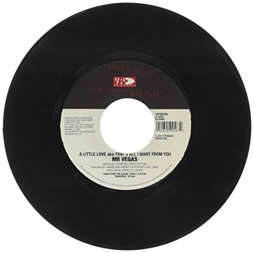 Little Love That's All I Wants from You [Vinyl Maxi-Single] von Ernie Bs Reggae
