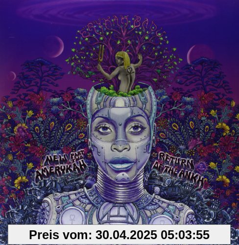 New Amerykah Part Two [Vinyl LP] von Erykah Badu