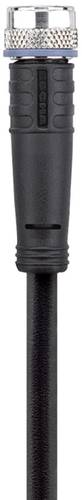 Escha 8043760 Sensor-/Aktor-Steckverbinder, konfektioniert M8 Buchse, gerade 2.00m Polzahl: 4 1St. Escha 8043760 Sensor-/Aktor-Steckverbinder, konfektioniert M8 Buchse, gerade 2.00m Polzahl: 4 1St. von Escha
