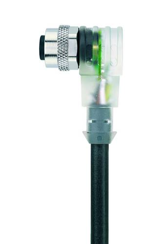 Escha 8044219 Sensor-/Aktor-Steckverbinder, konfektioniert M12 Buchse, gewinkelt 2.00m Polzahl: 3 1S von Escha