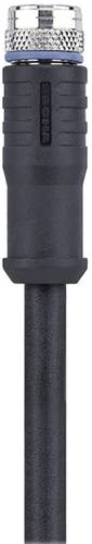 Escha 8046204 Sensor-/Aktor-Steckverbinder, konfektioniert M8 Buchse, gerade 2.00m Polzahl: 4 1St. von Escha