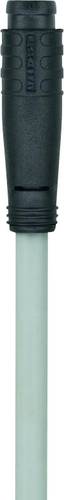 Escha 8052496 Sensor-/Aktor-Steckverbinder, konfektioniert M8 Stecker, gerade 2.00m Polzahl: 3 1St. Escha 8052496 Sensor-/Aktor-Steckverbinder, konfektioniert M8 Stecker, gerade 2.00m Polzahl: 3 1St. von Escha