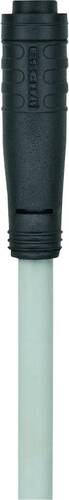 Escha 8052690 Sensor-/Aktor-Steckverbinder, konfektioniert M8 Buchse, gerade 2.00m Polzahl: 4 1St. Escha 8052690 Sensor-/Aktor-Steckverbinder, konfektioniert M8 Buchse, gerade 2.00m Polzahl: 4 1St. von Escha