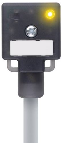 Escha Ventilsteckverbinder Bauform A Schwarz VA22-24.3-5/P01 Pole:2+PE gebrückt 8047821 Inhalt: 1St. Escha Ventilsteckverbinder Bauform A Schwarz VA22-24.3-5/P01 Pole:2+PE gebrückt 8047821 Inhalt: 1St. von Escha