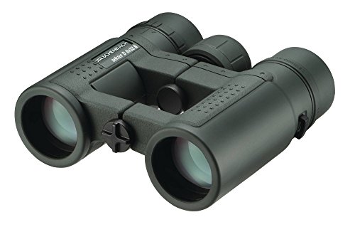 ESCHENBACH Optik 8x32 Sektor D compact+ Fernglas – der leichte Allrounder für gehobene Ansprüche für Wanderung, Vogelbeobachtung, Wildbeobachtung in der Natur - geeignet für Brillenträger von Eschenbach