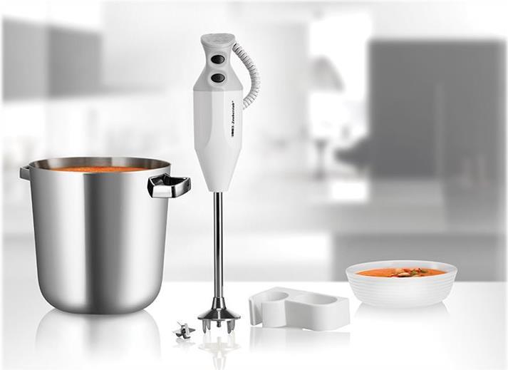 ESGE P 350 Profi Stabmixer (90880) von Esge