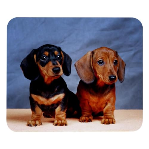 Eslifey Bequemes Mauspad Dackel Hund Desktop Mousepad, 21 x 25 cm Mauspad, rutschfeste Gummiunterseite, verbessert Geschwindigkeit und Präzision von Eslifey