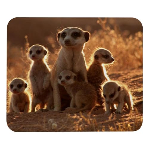 Eslifey Bequemes Mauspad Erdmännchen Desktop Mousepad, 21 x 25 cm Mauspad, rutschfeste Gummiunterseite, verbessert Geschwindigkeit und Präzision, sbdE010 von Eslifey