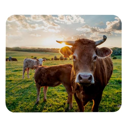 Eslifey Bequemes Mauspad Sommer Sonnenuntergang Kühe Desktop Mousepad, 21 x 25 cm Mauspad, rutschfeste Gummiunterseite, verbessert Geschwindigkeit und Präzision von Eslifey